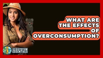 What Are The Effects Of Overconsumption? - Ecosystem Essentials