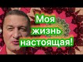 Ответ блогеру Александру Л.! Воскресное утро Андрея Дуйко!