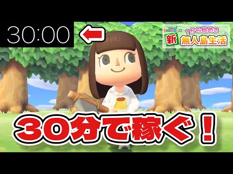 あつ森】30分ノーカット！マイルいくら稼げるのかチャレンジ