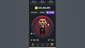 Daily Cipher code Hamster Combat 11 July #hamsterkombat #dailycipher