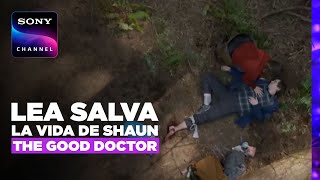 The Good Doctor: Shaun queda inconsciente y Lea le salva la vida | Sony Channel