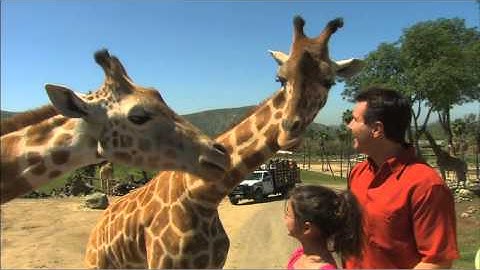 San Diego Zoo Safari Park
