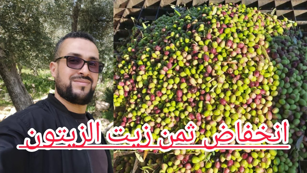 🛑انخفاض ثمن زيت الزيتون البلدية الوزانية الاصلية في مدينة وزان والنواحي تمن ديال درويش وجودة عالية 