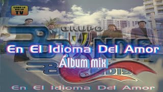 En El Idioma Del Amor - Grupo Bryndis [Álbum Mix]