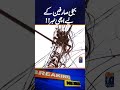 Good news for electricity users | Geo News