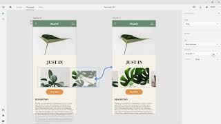 Action | Adobe XD screenshot 3