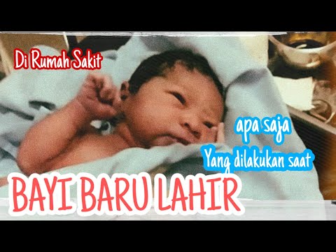 Video: Bagaimana Cara Bertemu Bayi Baru Lahir Dari Rumah Sakit