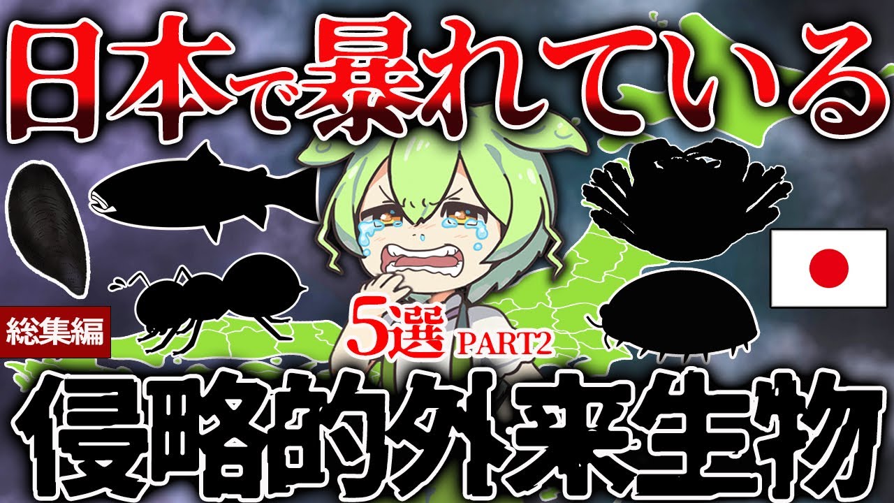 【総集編】日本を侵略し日本人ブチギレ！？日本に来た外来種の悲惨な末路5選【ずんだもん＆ゆっくり解説】