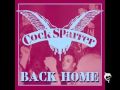 Cock sparrer  were coming back with lyrics in description