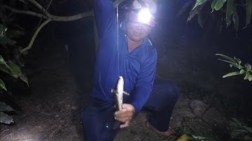 Cắm Câu Làm Món Cá Trê, Cá Lóc Nướng Và Cắm Trại | Kiệt Làng Quê