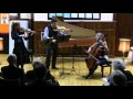 J.S. Bach - Goldberg Variations for baroque violin, viola and cello (live and unedited)