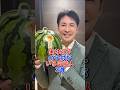 実は双子の子供がいる芸能人3選 双子 #藤岡靛 #ディーンフジオカ #郷ひろみ #つんく