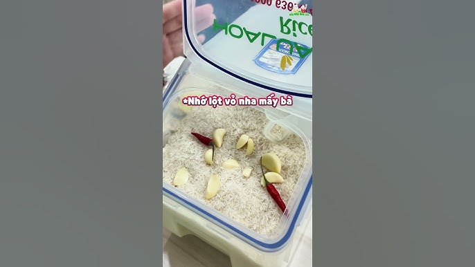 4. Tác Động Của Mọt Đến Chất Lượng Gạo