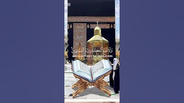 سورة الأحزاب {الآية 1} بصوت الشيخ عبد الله مصطفى ❤️❤️