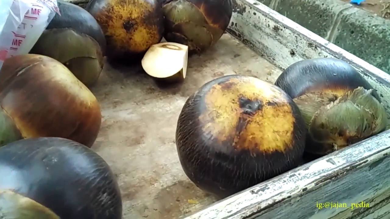 INDONESIAN STREET FOOD PALM FRUIT a.k.a BUAH LONTAR - YouTube