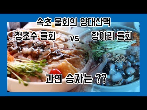 속초맛집