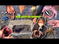 Banyak Ikan Saat Laut Surut 😢 | BERBURU IKAN HIAS