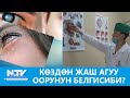 NewTV// КӨЗДӨН ЖАШ АГУУ ООРУНУН БЕЛГИСИБИ? // #ДАБАГЕР