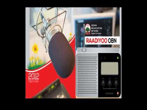 Aadaatu Haaroma Osoo Hin Taane Xin Sammuu Dhalootatu Waa Alagaa Irraa Haroomuu Qaba