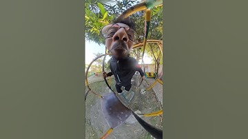 insta360 camera funny video 🤣#desicomedy #insta360 #funny #shorts #vlog