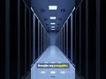 blockchain x AI #ai #blockchain #knowledgeculture #futureoftech #trending
