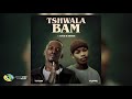 Titom_&_yuppe_-_tshwala Bam_ official audio