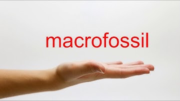 How to Pronounce macrofossil - American English