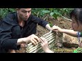 Primitive Life - Unique Chicken Trap Technique of Primitive Couple | Survival Skills