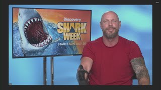 How to survive a shark attack