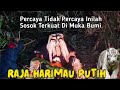 Detikdetik dennaofficial ditemukan saat hilang di bawa raja siluman harimau putih