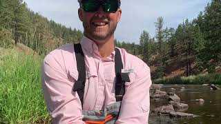 Trout fishing Colorado Deckers and Clear Creek