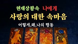 [타로속마음]나의 대한 사랑의 속마음 이유,어떻게,나의행동 #타로 #속마음 #연애운