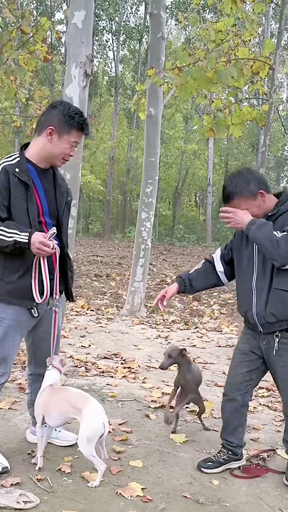 Build a limited partner,thedog's hopes@ 36