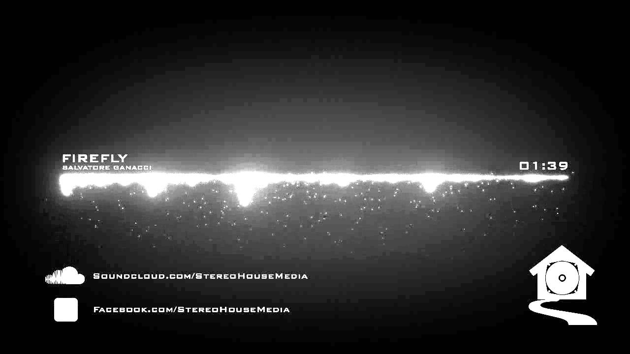 [HOUSE] Salvatore Ganacci - Firefly