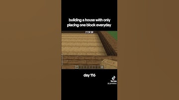 building a house with only placing one block everyday (day 116) #oneblockaday