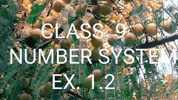 Class 9 number system ex. 1.2 in manipuri.