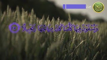 سورة الإنسان بصوت الشيخ ماهر المعيقلي مكتوبة 2020 🌺🌺🌺