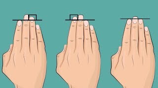 Your Ring Finger And Index Finger Reveal Whether You Are Attractive