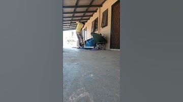 P-Rail Progress | Aggressive Inline Skating