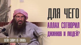 Шейх Салим ат Тауиль. Для чего Аллах сотворил джиннов и людей? Шейх Салим ат Тауиль. Для чего Аллах сотворил джиннов и людей?