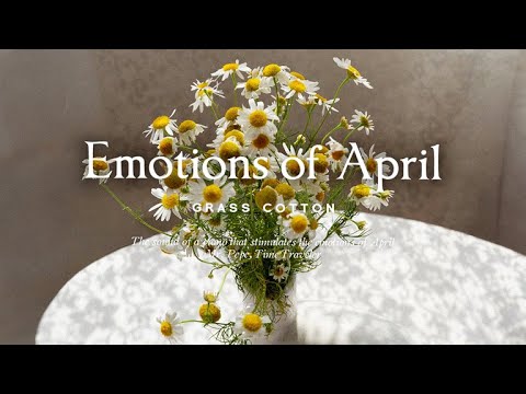 Видео: Звук фортепиано, пробуждающий эмоции апреля l GRASS COTTON+