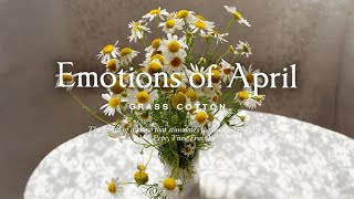 The sound of a piano that stimulates the emotions of April l GRASS COTTON+