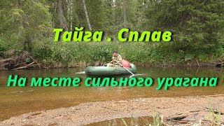 Сплав по таежной речке. На месте урагана .Один в тайге.Часть2.