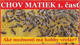 Chov matiek 1.časť: výber plemeniva a vlastnosti včelstiev