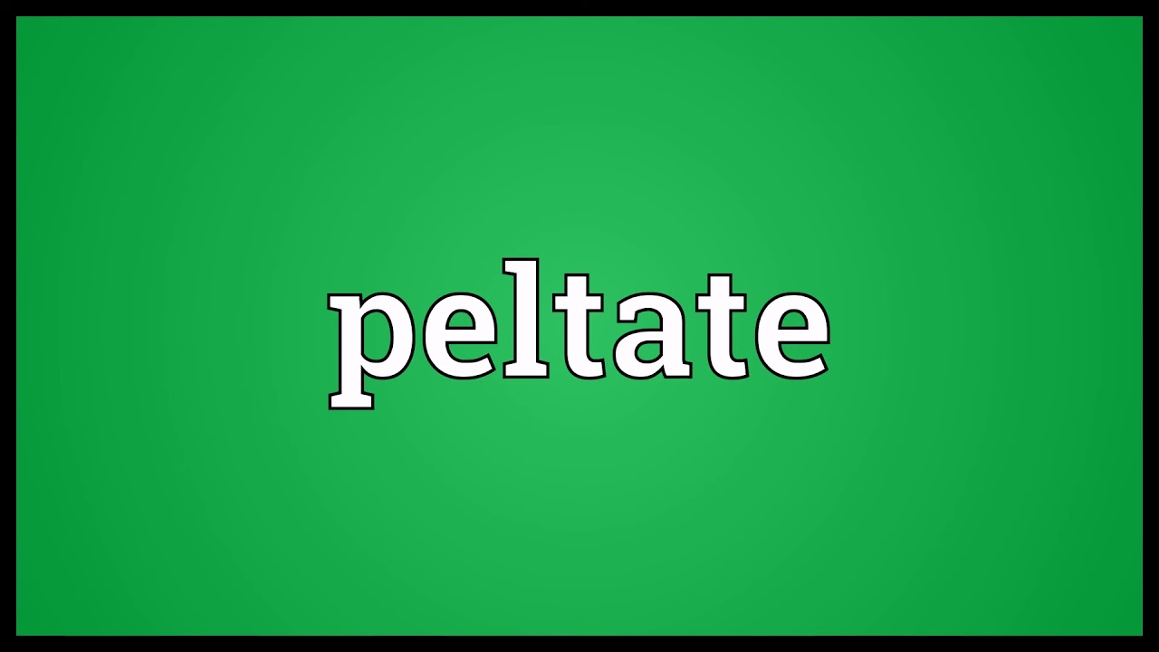 Peltate Meaning