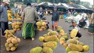 SPESIAL DI HARI RABU HARGA DUREN & NANGKA ||info pasar