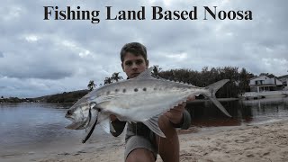 Land Based Fishing The Noosa River  Queenies, Trevally, Flathead
