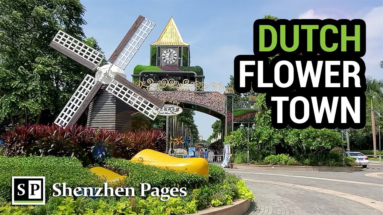 Dutch Flower Town; A Charming and Colorful Park in China's Shenzhen! 🇨🇳