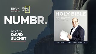 The Complete Holy Bible - NIVUK Audio Bible - 4 Numbers