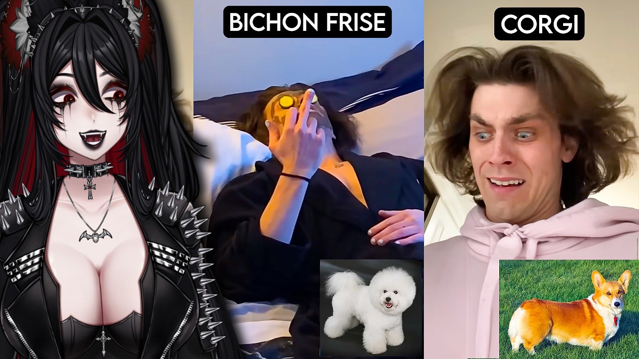 Why Are These So ACCURATE?! | JauncyDev Reaction